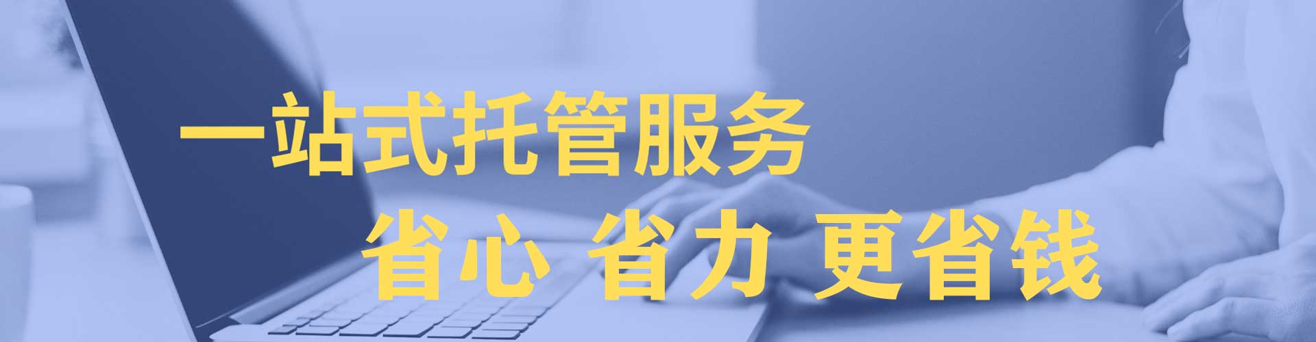 电白sem托管